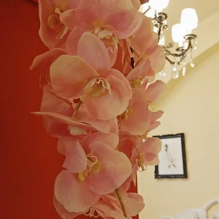 Apartment San Lorenzo Ariento Florence